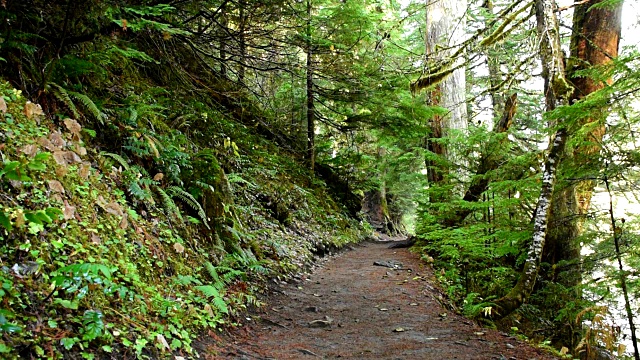 华盛顿州，雷尼尔山，风景视频素材