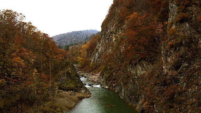 jouzankei秋叶落叶落叶枯叶峡谷丰平河视频素材