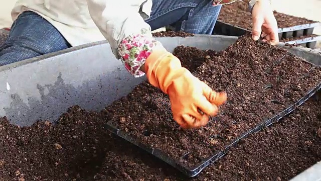 近手女子把泥炭苔放在土里视频素材