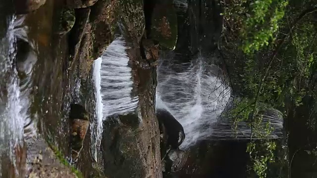 红溪瀑布位于原始森林中视频素材