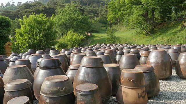 Yun Jeung's Old House的Jangdok(装酱料和调味品的平台)视频素材