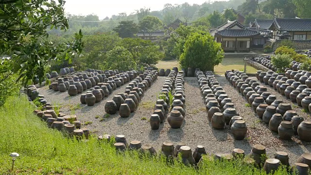 Yun Jeung's Old House的Jangdok(装酱料和调味品的平台)视频素材