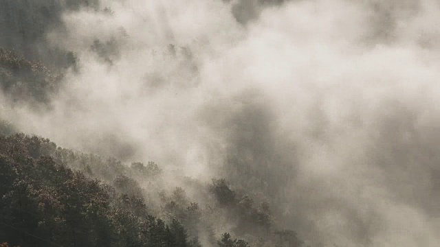 山上雾蒙蒙的景色视频下载