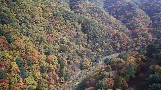 拍摄的是秋天的贡杰山山和山谷视频素材