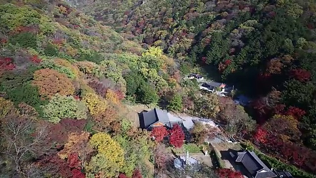 秋日白干山的白癜风寺视频素材