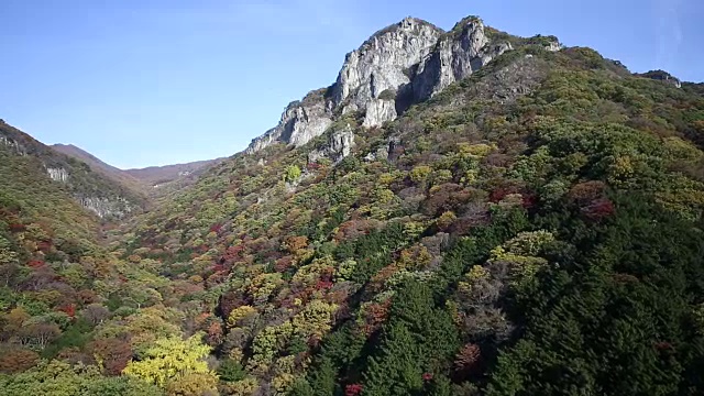 秋日观赏白干山的树木和岩石视频素材