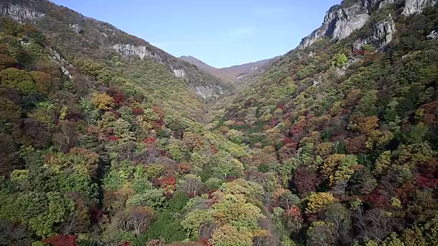 秋日观赏白干山的树木和岩石视频素材