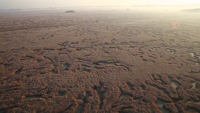 对湿地视频素材