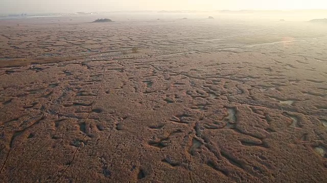 对湿地视频素材