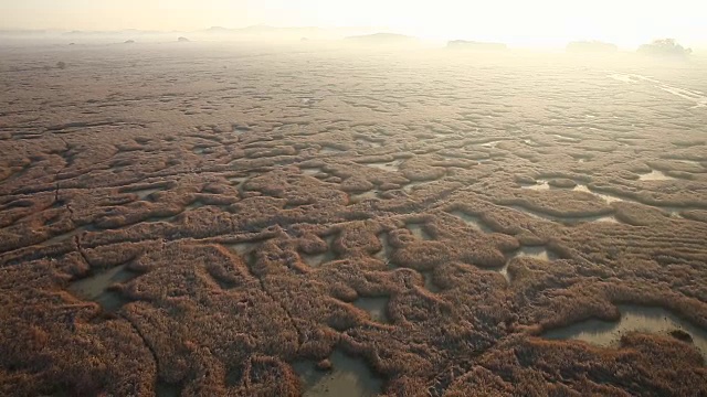 湿地高视图视频素材