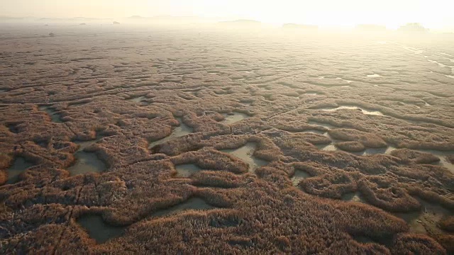 湿地高视图视频素材