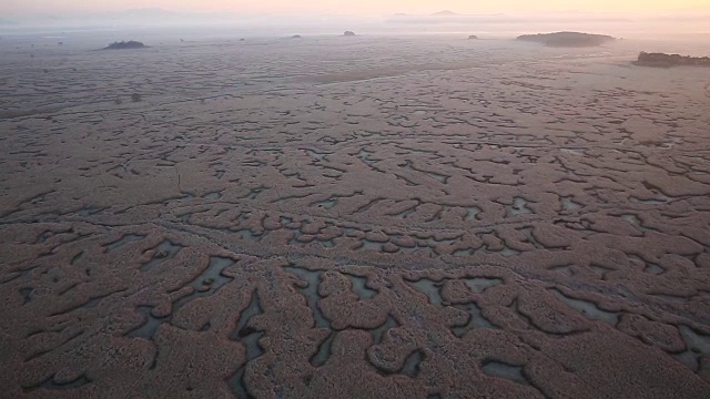 对湿地视频素材