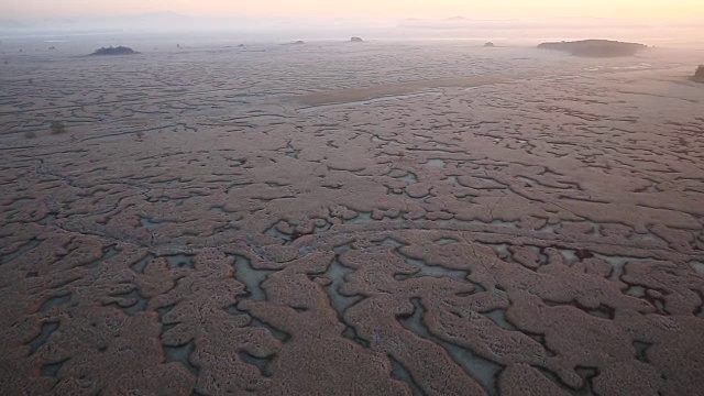 对湿地视频素材