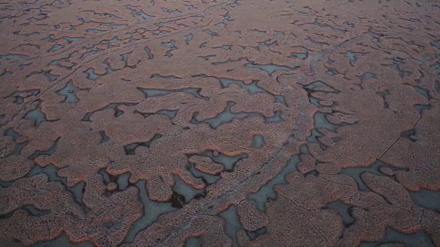 湿地高视图视频素材