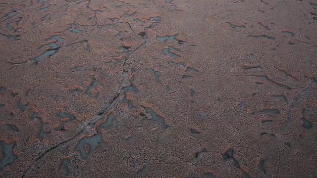 湿地高视图视频素材