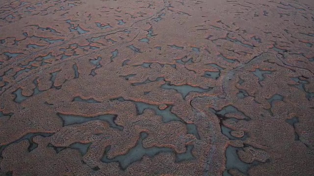 湿地高视图视频素材