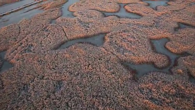 湿地高视图视频素材