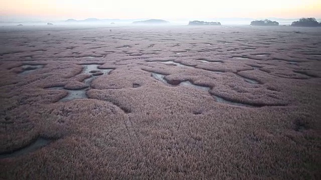 对湿地视频素材