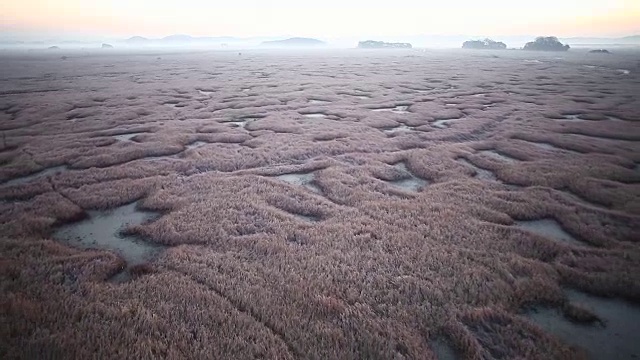 对湿地视频素材