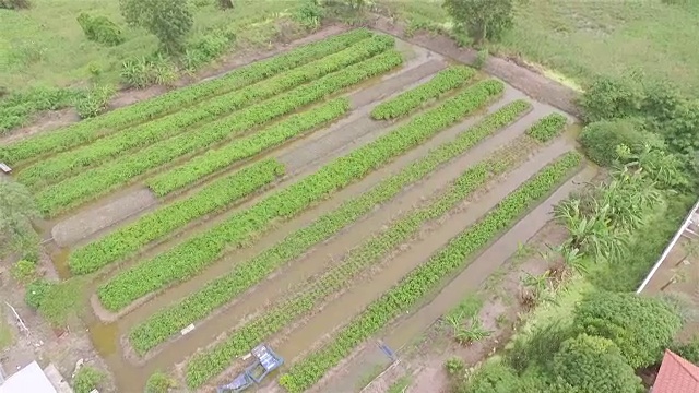 空中射击:菜园视频素材