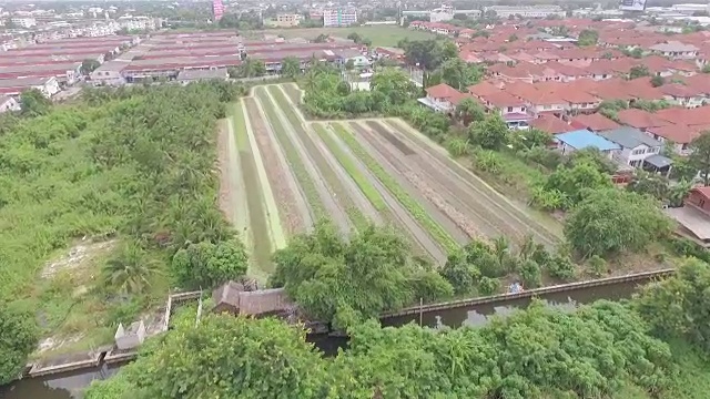 空中射击:菜园视频素材