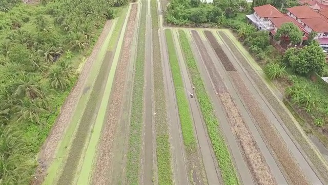 空中射击:菜园视频素材