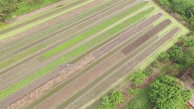 空中射击:菜园视频素材