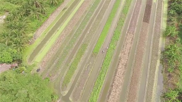 空中射击:菜园视频素材