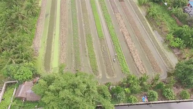 空中射击:菜园视频素材