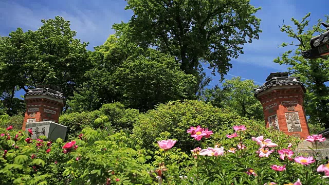 景福宫宫段，阿米山花园(韩国宝811)周围的烟囱视频素材