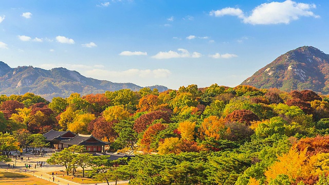 WS T/L长庚宫秋景(首尔朝鲜王朝五大宫殿之一)/韩国首尔视频素材