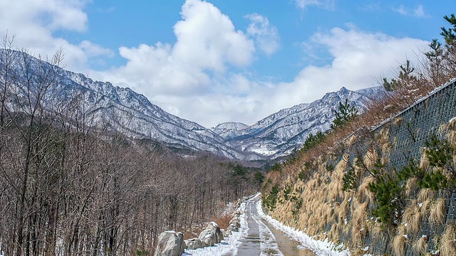 WS ZI T/L韩国江原道美日岭山口的雪景和光秃秃的树木视频素材