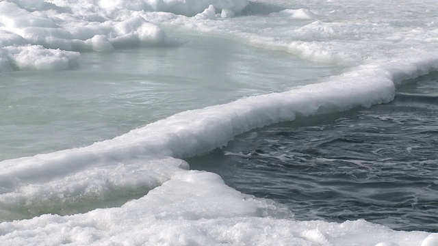 帝企鹅(Aptenodytes forsteri)出水，华盛顿角，南极洲视频素材