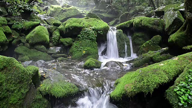 长泉谷的苔藓和瀑布视频素材