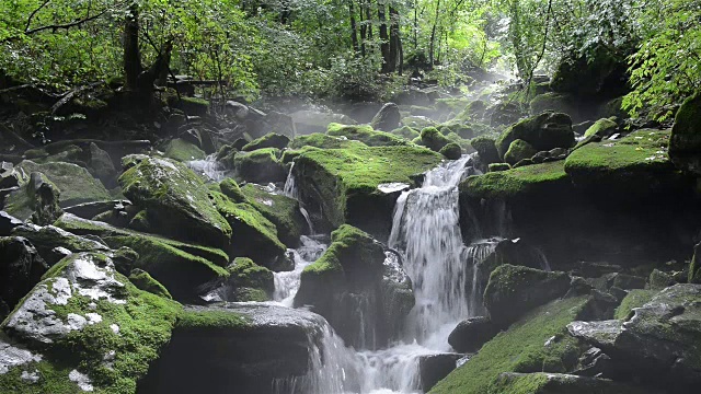 长泉谷的苔藓和瀑布视频素材