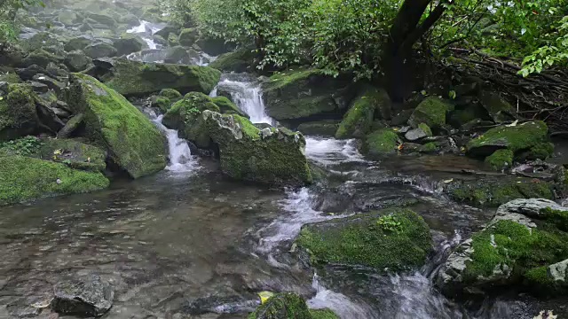 长泉谷的苔藓和瀑布视频素材