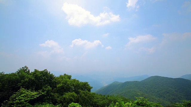 木登山景视频素材