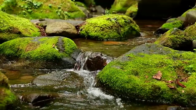 荣云Sangdong苔藓谷的景色视频素材