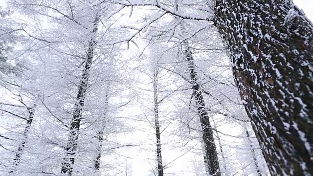 白雪覆盖的Manhangjae(最高的可以通过的汽车)视频素材