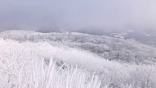 太极山雪景视频素材