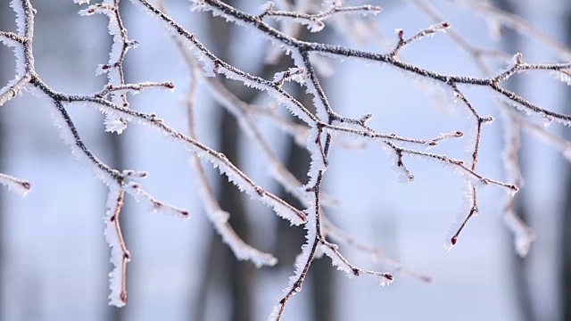 白雪覆盖的Manhangjae(最高的可以通过的汽车)视频素材