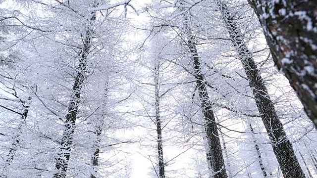 白雪覆盖的Manhangjae(最高的可以通过的汽车)视频素材