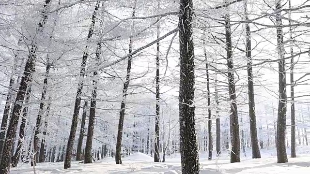 白雪覆盖的Manhangjae(最高的可以通过的汽车)视频素材