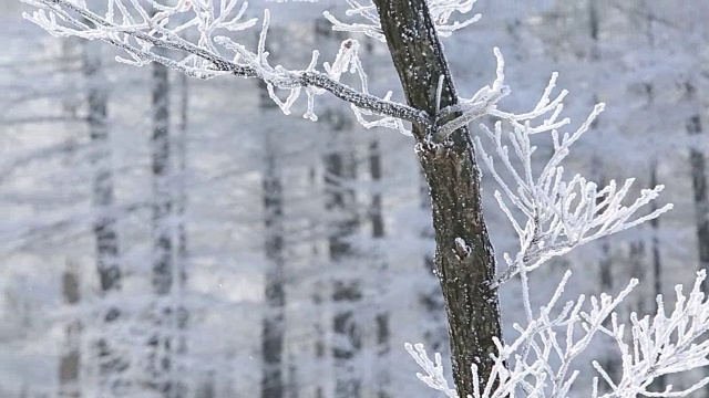 白雪覆盖的Manhangjae(最高的可以通过的汽车)视频素材