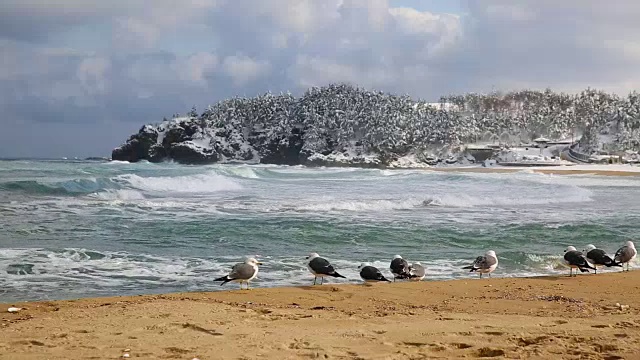 冬天的Chuam海滩景色视频素材