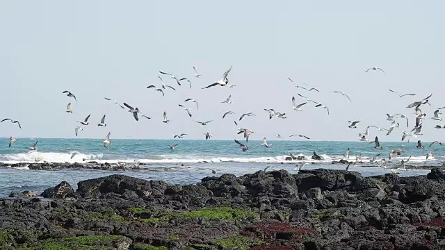 济州岛的海洋视频素材