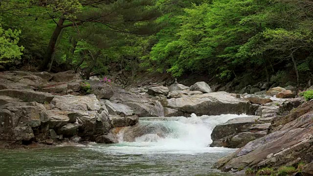 赤旗山山谷景色视频素材