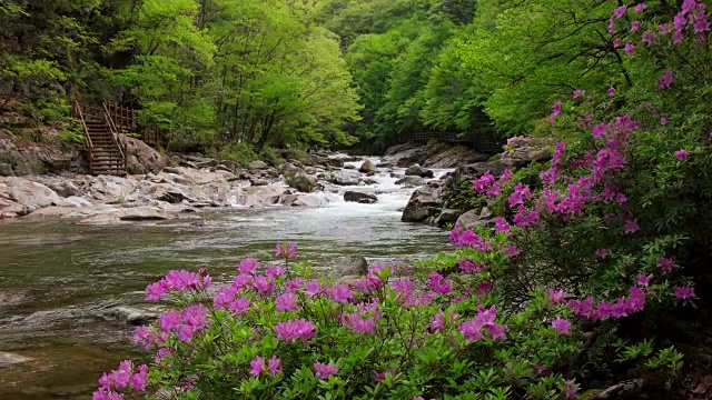 赤旗山山谷景色视频素材