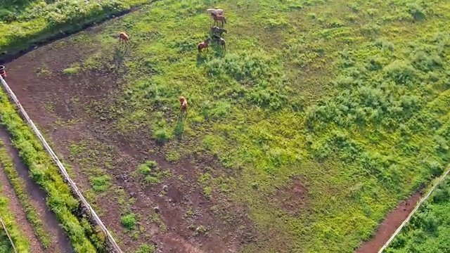 鸟瞰图Sungbuloreum火山锥视频素材