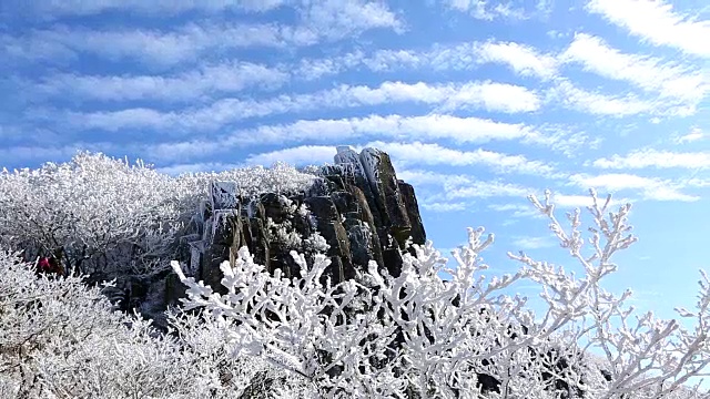 木登山冬景视频素材